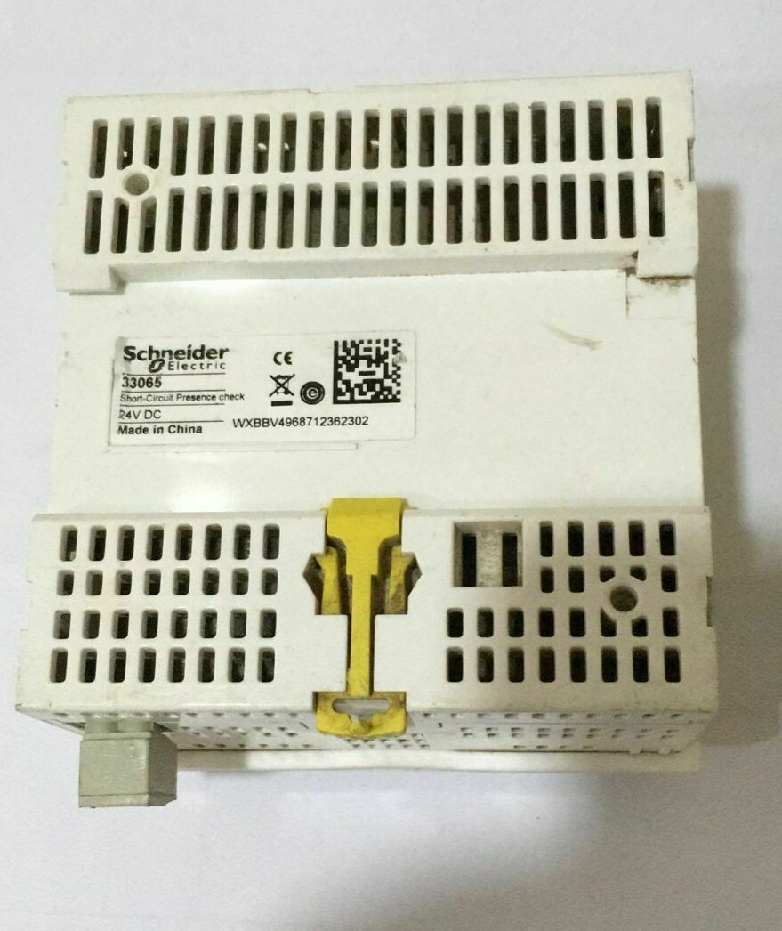 Schneider Electric 33065 Schneider Electric 33065 short-circuit presence check 24vdc 3