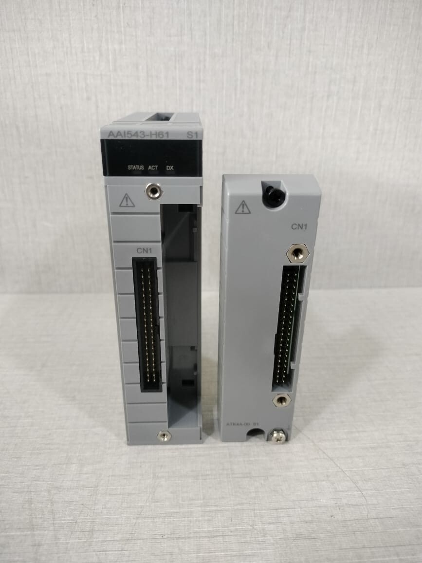 YOKOGAWA AAI543-H61 Style S1 ANALOG OUTPUT MODULE