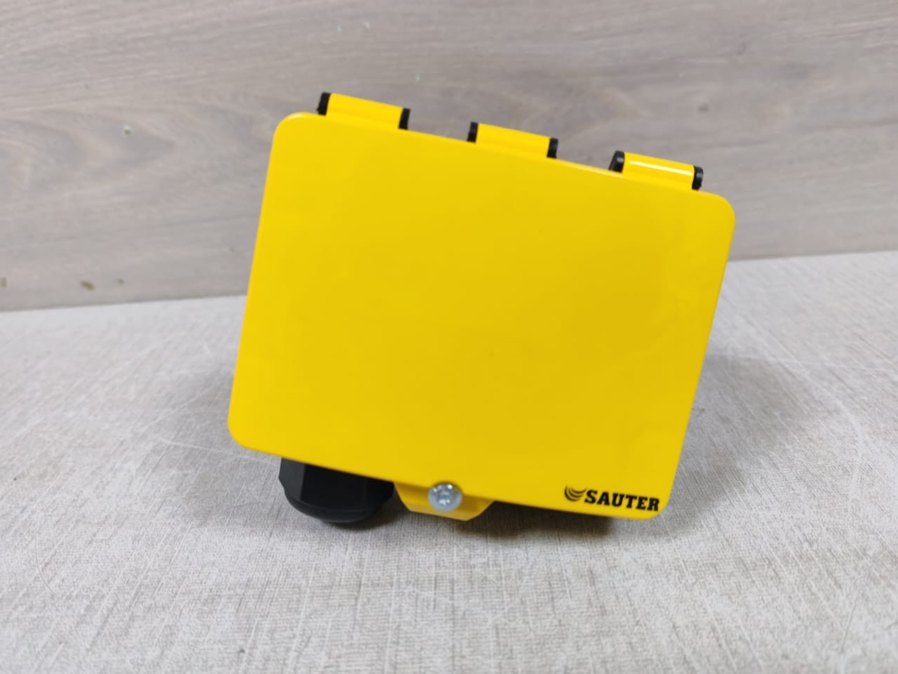 Sauter EGH111F031 SAUTER EGH111F031 Relative Humidity & Temperature Duct Transducer-SEALED 2